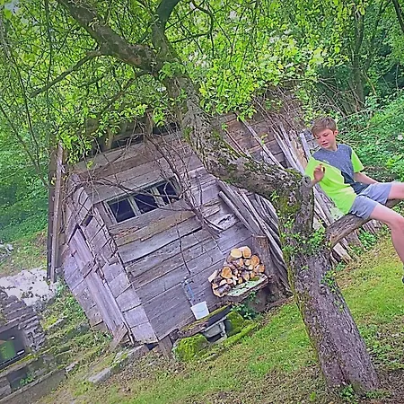 La Maison Au Pays De La Nature ,6 Couchages Breginj